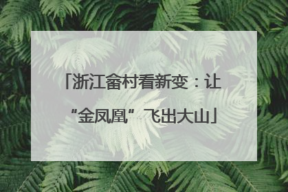 浙江畲村看新变：让“金凤凰”飞出大山
