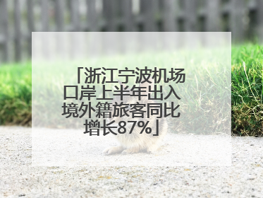 浙江宁波机场口岸上半年出入境外籍旅客同比增长87%