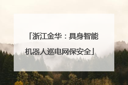 浙江金华：具身智能机器人巡电网保安全