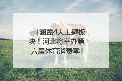 涵盖4大主题板块！河北将举办第六届体育消费季