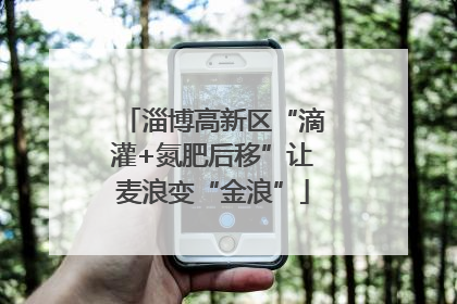 淄博高新区“滴灌+氮肥后移”让麦浪变“金浪”