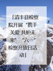清丰县检察院开展“携手关爱 共护未来”“六一”检察开放日活动