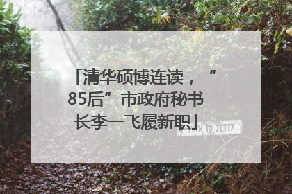 清华硕博连读，“85后”市政府秘书长李一飞履新职