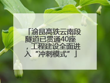 渝昆高铁云南段隧道已贯通40座，工程建设全面进入“冲刺模式”