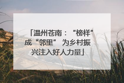 温州苍南：“榜样”成“邻里” 为乡村振兴注入好人力量