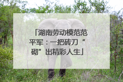 湖南劳动模范范平军：一把砖刀“砌”出精彩人生