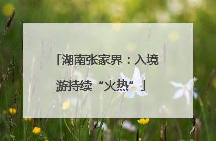 湖南张家界：入境游持续“火热”