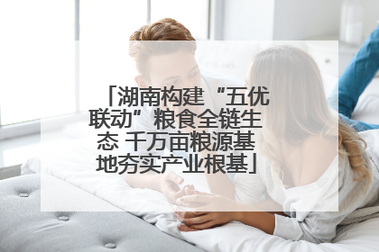 湖南构建“五优联动”粮食全链生态 千万亩粮源基地夯实产业根基