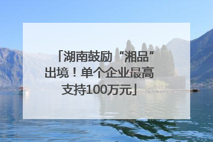 湖南鼓励“湘品”出境！单个企业最高支持100万元