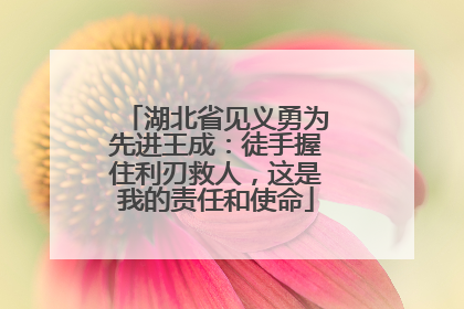 湖北省见义勇为先进王成：徒手握住利刃救人，这是我的责任和使命