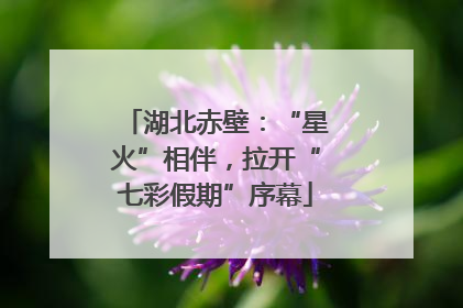 湖北赤壁：“星火”相伴，拉开“七彩假期”序幕