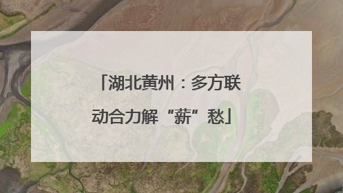湖北黄州：多方联动合力解“薪”愁