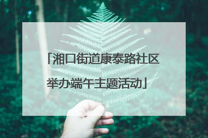 湘口街道康泰路社区举办端午主题活动