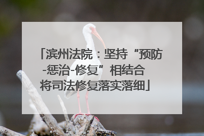 滨州法院：坚持“预防-惩治-修复”相结合 将司法修复落实落细