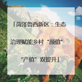 菏泽鲁西新区：生态治理赋能乡村“颜值”“产值”双提升