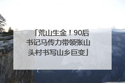 荒山生金！90后书记马传力带领张山头村书写山乡巨变