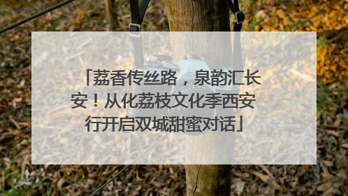 荔香传丝路，泉韵汇长安！从化荔枝文化季西安行开启双城甜蜜对话