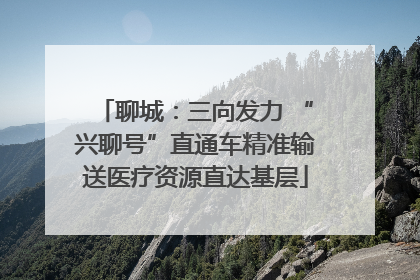 聊城：三向发力 “兴聊号”直通车精准输送医疗资源直达基层