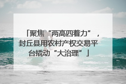 聚焦“两高四着力”，封丘县用农村产权交易平台撬动“大治理”