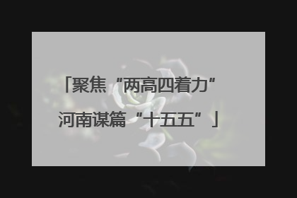 聚焦“两高四着力” 河南谋篇“十五五”