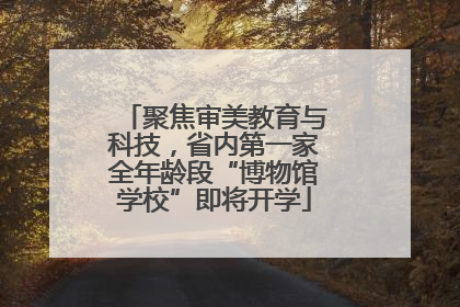 聚焦审美教育与科技，省内第一家全年龄段“博物馆学校”即将开学