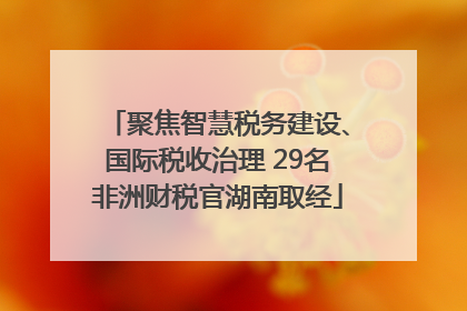 聚焦智慧税务建设、国际税收治理 29名非洲财税官湖南取经