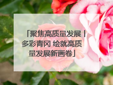 聚焦高质量发展丨多彩青冈 绘就高质量发展新画卷