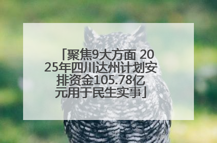 聚焦9大方面 2025年四川达州计划安排资金105.78亿元用于民生实事