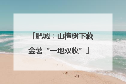 肥城：山楂树下藏金薯“一地双收”