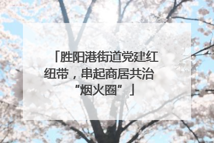 胜阳港街道党建红纽带，串起商居共治 “烟火圈”