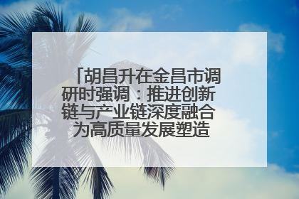 胡昌升在金昌市调研时强调：推进创新链与产业链深度融合 为高质量发展塑造新动能新优势