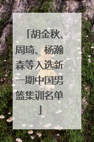 胡金秋、周琦、杨瀚森等入选新一期中国男篮集训名单