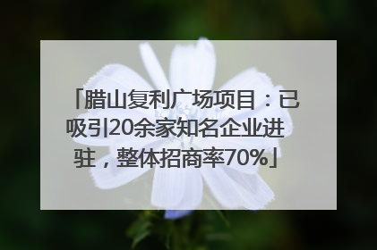 腊山复利广场项目：已吸引20余家知名企业进驻，整体招商率70%