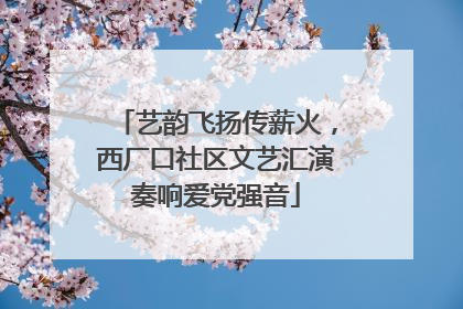 艺韵飞扬传薪火，西厂口社区文艺汇演奏响爱党强音