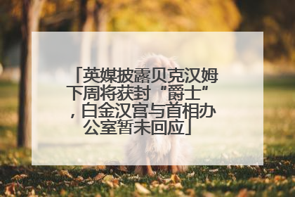 英媒披露贝克汉姆下周将获封“爵士”，白金汉宫与首相办公室暂未回应