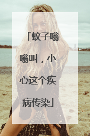 蚊子嗡嗡叫，小心这个疾病传染