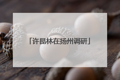 许昆林在扬州调研