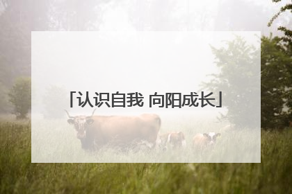 认识自我 向阳成长