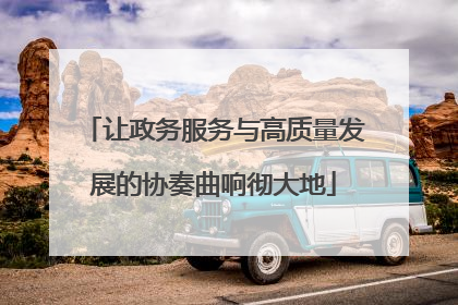 让政务服务与高质量发展的协奏曲响彻大地