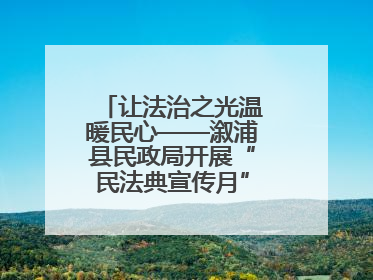 让法治之光温暖民心——溆浦县民政局开展“民法典宣传月” 普法活动
