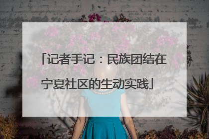 记者手记：民族团结在宁夏社区的生动实践