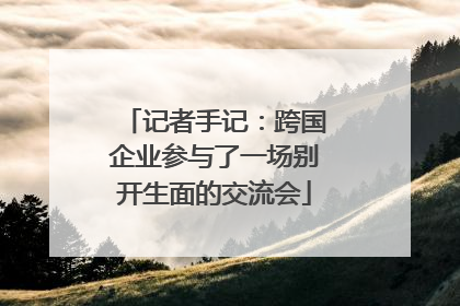 记者手记：跨国企业参与了一场别开生面的交流会