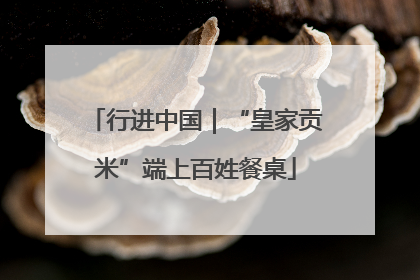 行进中国｜“皇家贡米”端上百姓餐桌