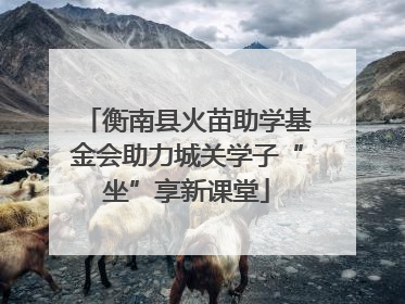 衡南县火苗助学基金会助力城关学子“坐”享新课堂