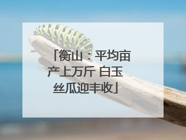 衡山：平均亩产上万斤 白玉丝瓜迎丰收