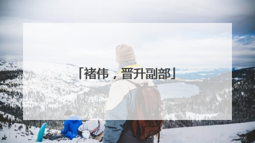 褚伟，晋升副部