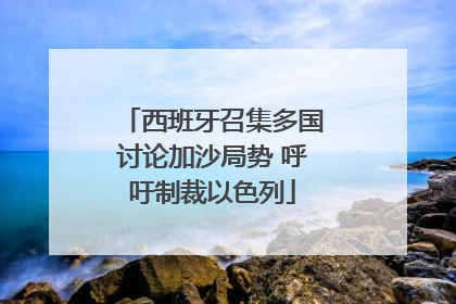 西班牙召集多国讨论加沙局势 呼吁制裁以色列
