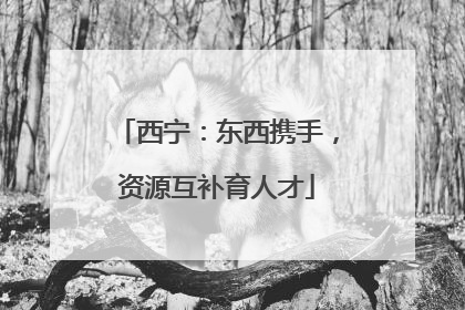 西宁：东西携手，资源互补育人才
