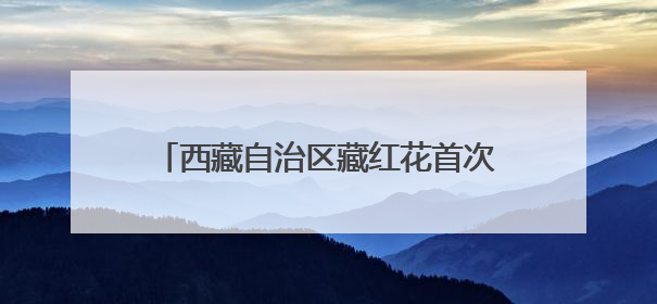 西藏自治区藏红花首次实现出口 远销加拿大