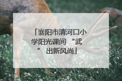 襄阳市清河口小学阳光课间 “武” 出新风尚